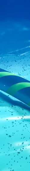 The True Value of Undersea Cable Security